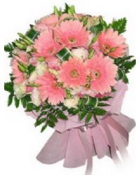 gerbera buket